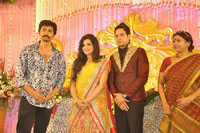 Bharath and Jeshly Wedding Reception Photos